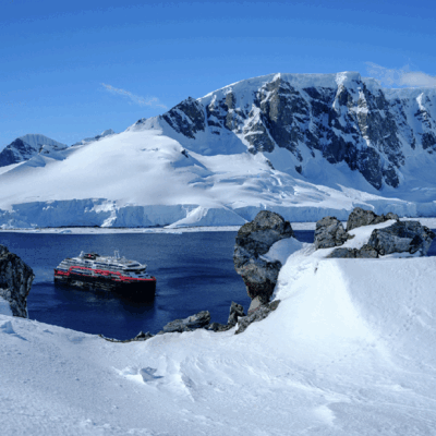 Reisende der MS Roald Amundsen auf Besuch bei den Pinguinen