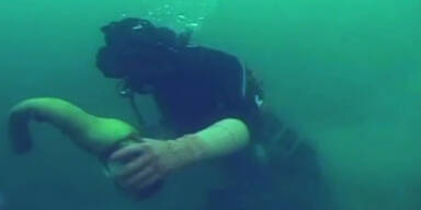 Diesen "Penis" lieben die Promis!