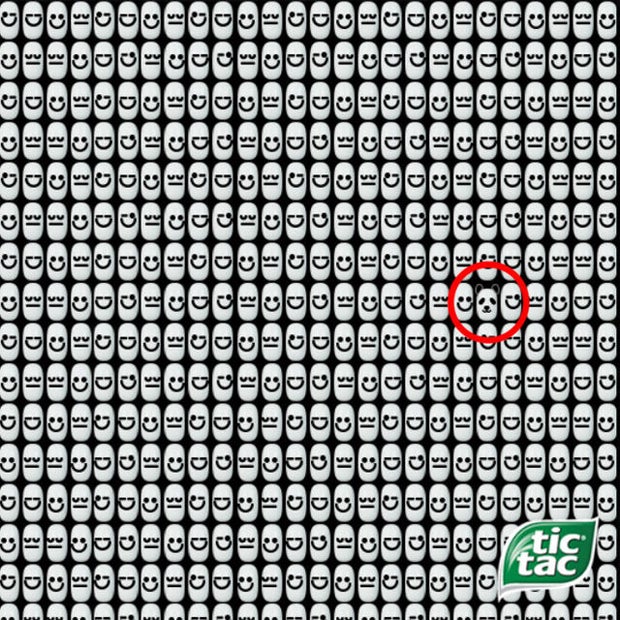 Rätsel: Wo versteckt sich hier ein Panda?