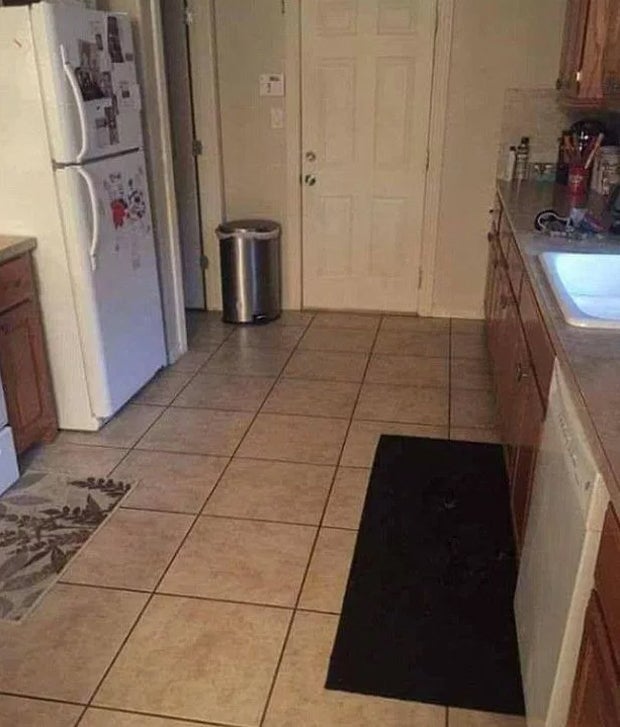 Auf diesem Foto versteckt sich ein Hund