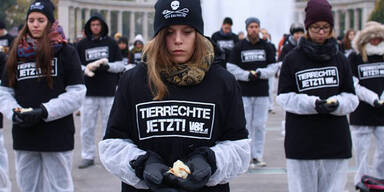 Tiersch&uuml;tzer-Protest mit 650 toten Tieren
