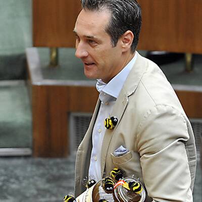 Die Bilder zur Bienen-Sitzung