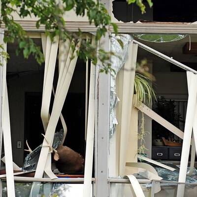 Zugsunglück in Maryland