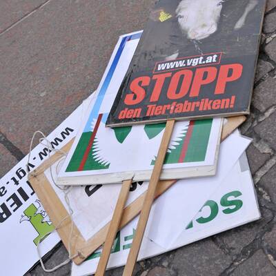 Pelzgegner demonstrieren am Stephansplatz