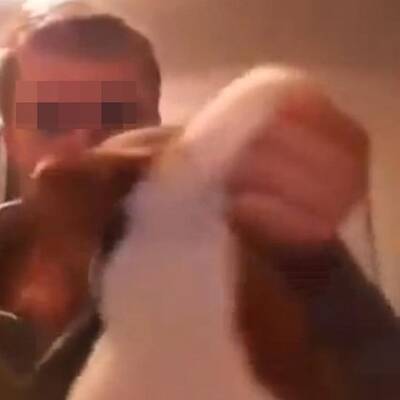 So quälte er den Welpen