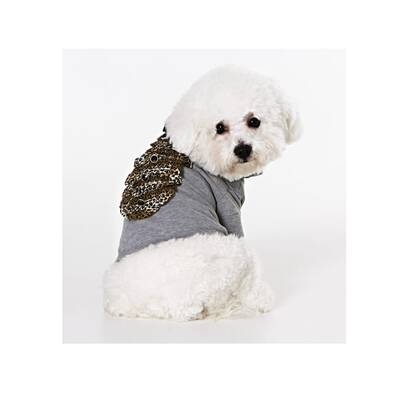 Eva Cavalli kleidet Tiere ein