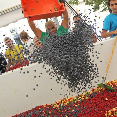 Obstsalat-Weltrekord in Wien