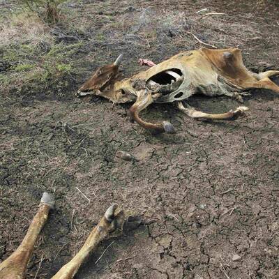 Viel zu wenig hat es geregnet