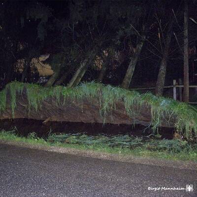 So sieht es im Bezirk Leibnitz aus
