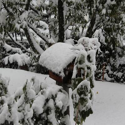 Steinach am Brenner (Tirol)