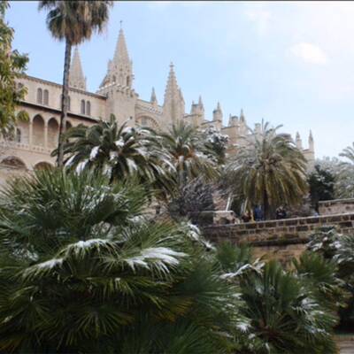 Schneefall im Februar 2012