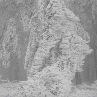 Waidhofen an der Thaya, NÖ