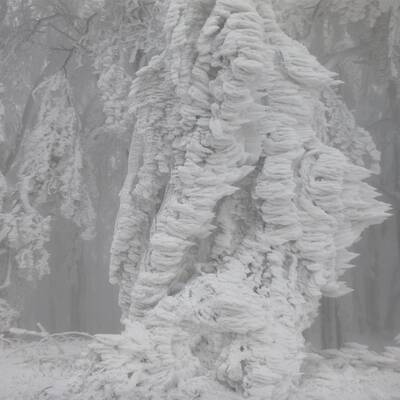 Waidhofen an der Thaya, NÖ