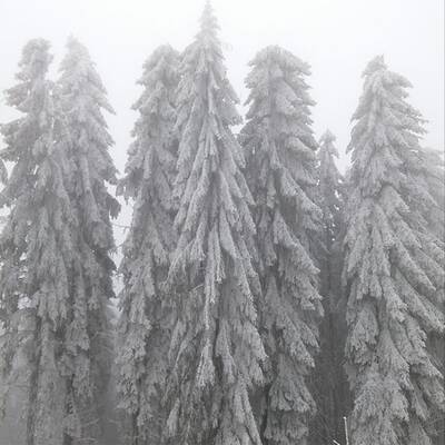 Ausnahmezustand in Ottenschlag