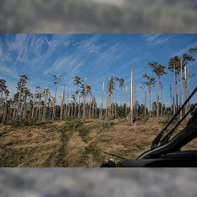 So enorm sind die Schäden