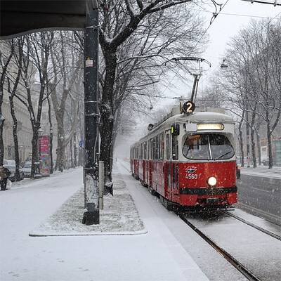 Schneewalze trifft Wien