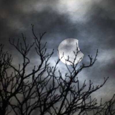 Die schönsten Fotos der oe24-Leserreporter