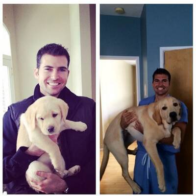 Dr. Brian - Dieser Neurochirurg verdreht uns den Kopf