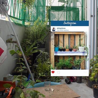 Die Schattenseite Instagrams