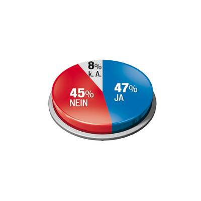 Heeresfrage  spaltet  das Land