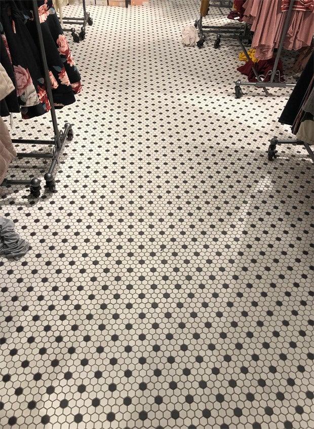 Dieses Foto lässt das Netz ausflippen