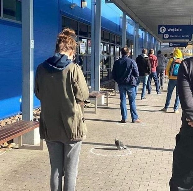 'Social Distancing': oe24 sucht die lustigsten Tierfotos