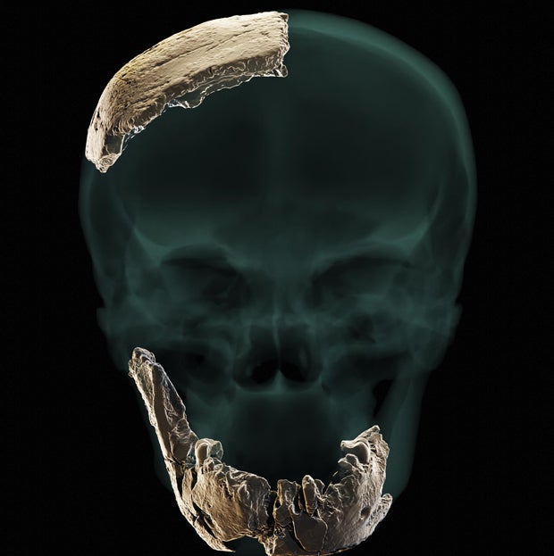 Sensation: Austro-Forscher entdecken neuen Menschentyp