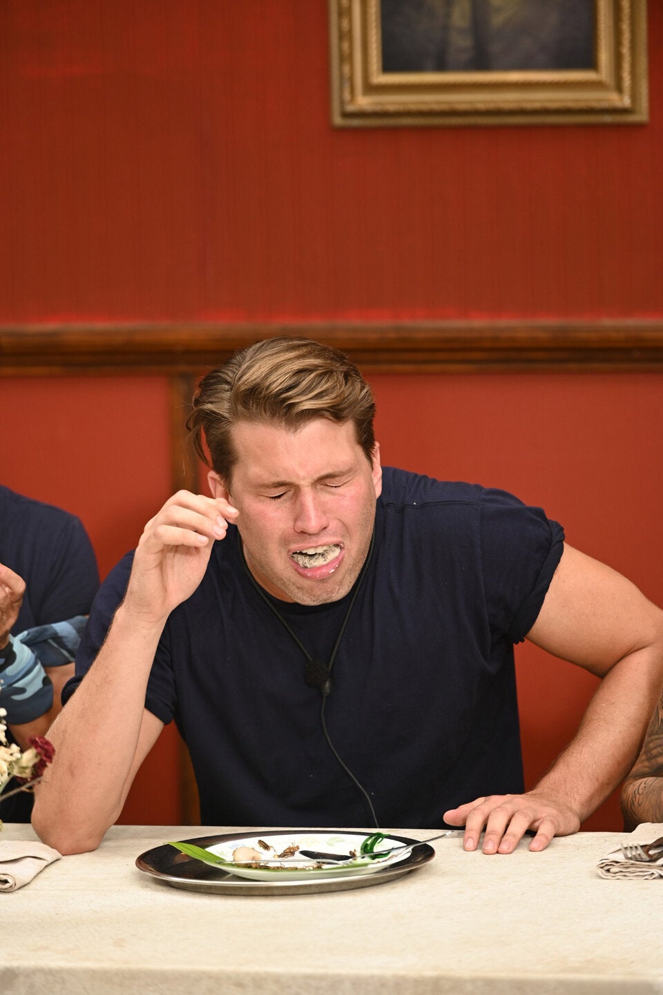 Erster Ekel-Alarm im Dschungel-Camp