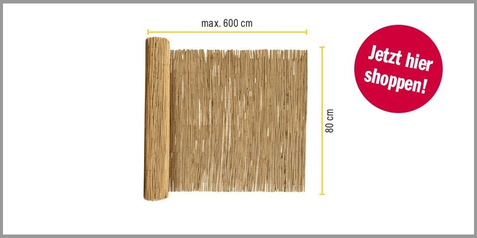 Sol Royal Schilfmatte Sichtschutz 80x600 cm – 33,26 Euro bei Amazon* 