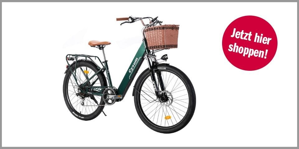 Cityrun E-Bike (26 Zoll, Grün) – für 704,87 Euro bei Amazon*