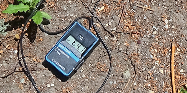 Baumschützer: Höhenstraße für Pkw sperren