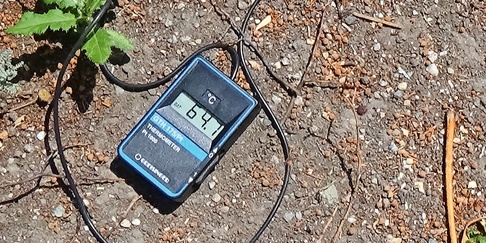 Baumschützer: Höhenstraße für Pkw sperren