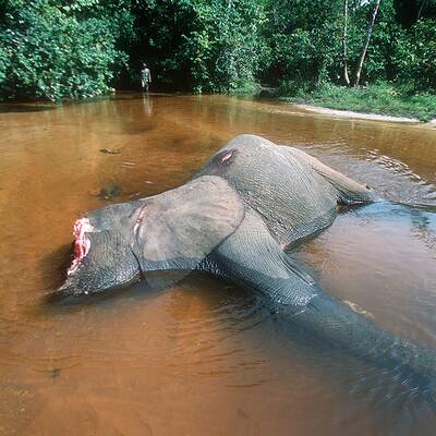 WWF-Experte Georg Scattolin und Ranger im Kui Buri Nationalpark