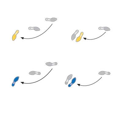 Tanzschritte: Quickstepp