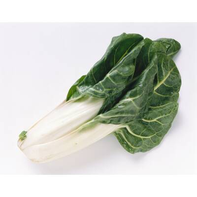 Lebensmittel ohne Kohlenhydrate