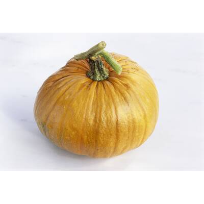 Lebensmittel ohne Kohlenhydrate