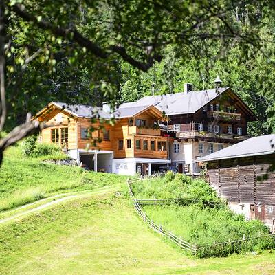 Käseteller auf der Piffalm in Salzburg