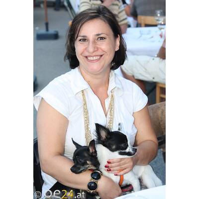 Promi-Trabrennen in der Krieau (21.8.2009)