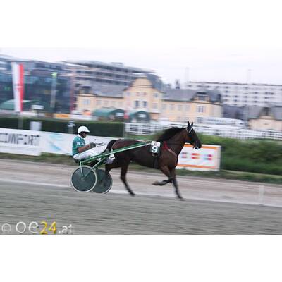 Promi-Trabrennen in der Krieau (21.8.2009)