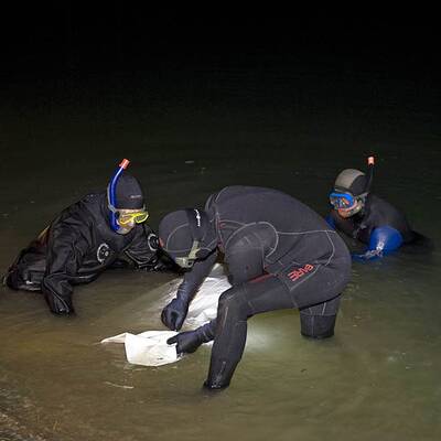 Nackte Männerleiche in Brodersdorf gefunden