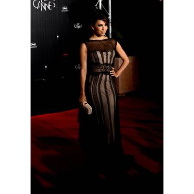 Die Traum-Roben des Hollywood-Stars 