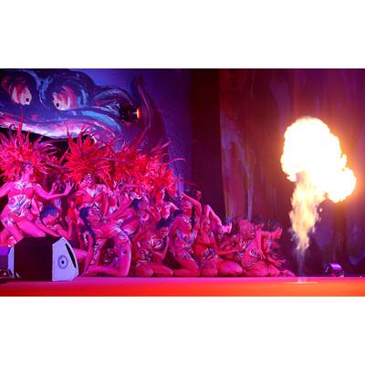 Life Ball 2012: Alle Stars - Alle Bilder