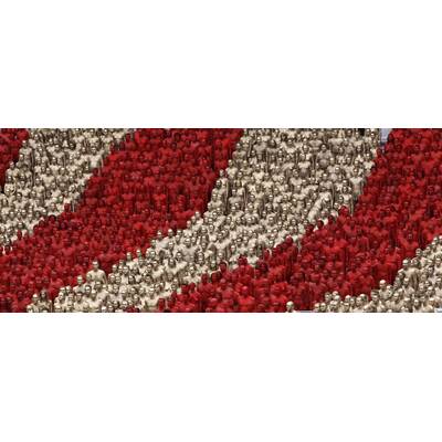 1700 Nackedeis posieren für Fotokünstler