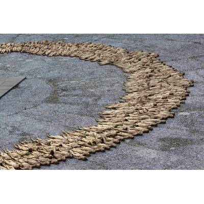 1700 Nackedeis posieren für Fotokünstler