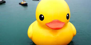 Riesige Gummiente schwimmt durch Hafen