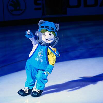 Eishockey-Finale Schweiz gegen Schweden