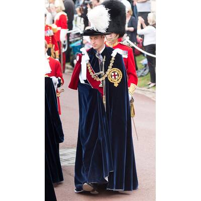 Die königliche Familie beim Garter Day