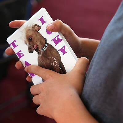 Diese Vierbeiner sind echte Originale