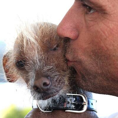 Diese Vierbeiner sind echte Originale