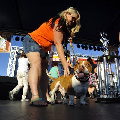 Diese Vierbeiner sind echte Originale